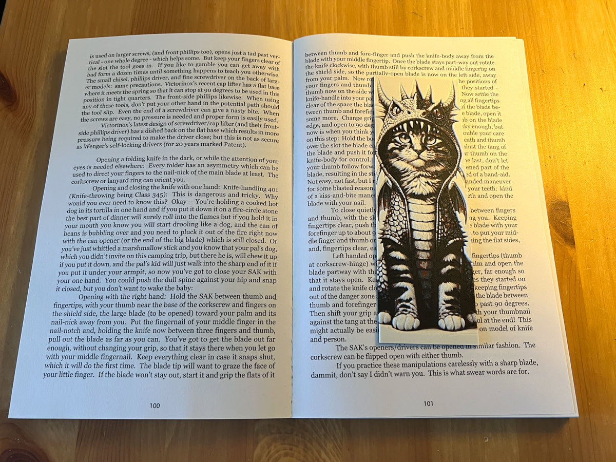 Cat in Dragon Hoodie Bookmark