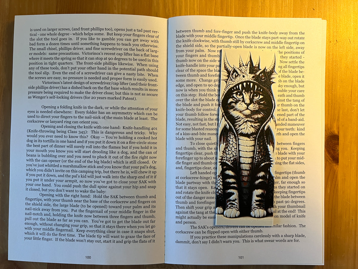Cat in Dragon Hoodie Bookmark